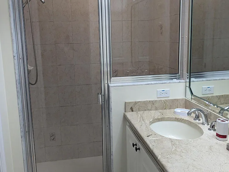 Master Bedroom Shower