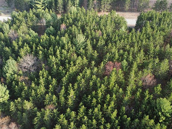 4th image of 4811 Truax Lake Rd