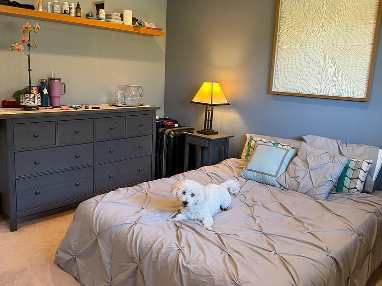 2204 Laguna Vista Dr — Photo 17