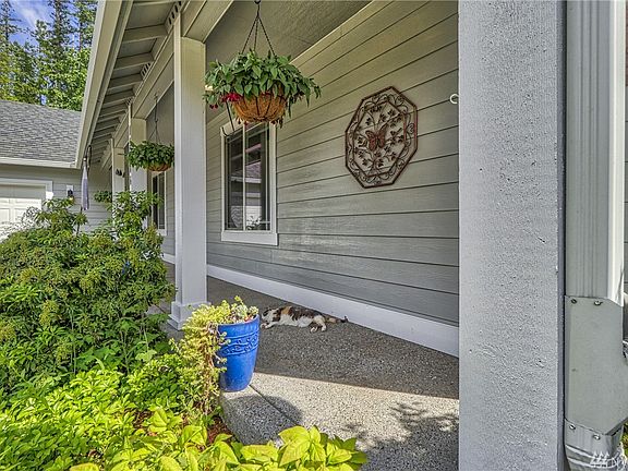 Gutter Guard system.  Sweet kitty not included in sale.  :-)