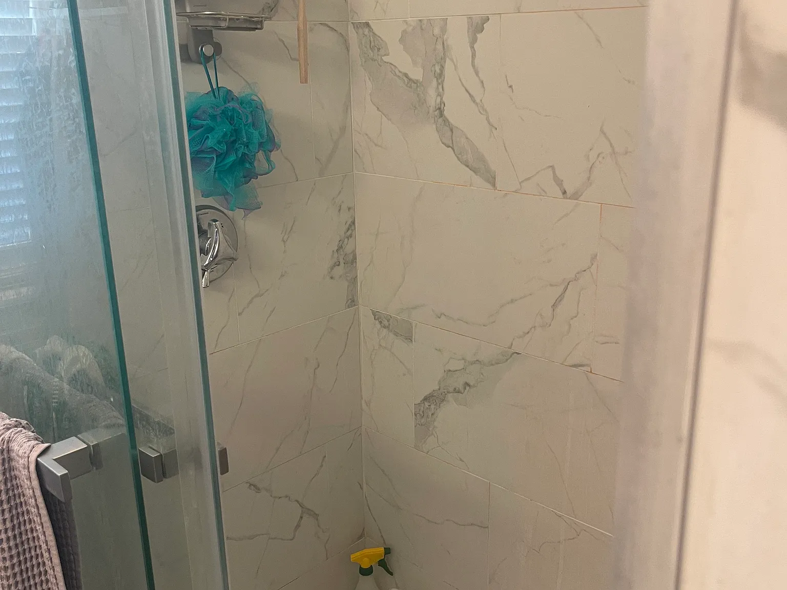 3 bed, 1100 sqft, $2,900 — Photo 3