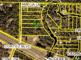 Amelia Ln LOT 4, Dade City, FL 33523