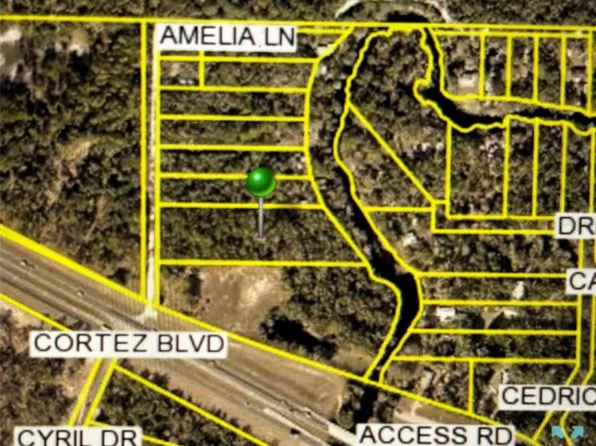 Amelia Ln Lot 4, Dade City, FL 33523
