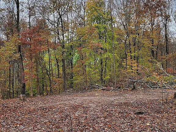3rd image of 276 Bluegill Ln