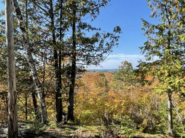 LOT 2 E Shines Lake Rd, Drummond Island, MI 49726