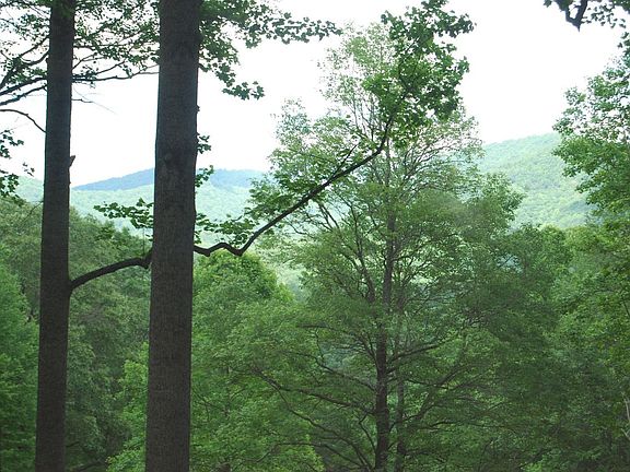 Mountain view from upper meadow