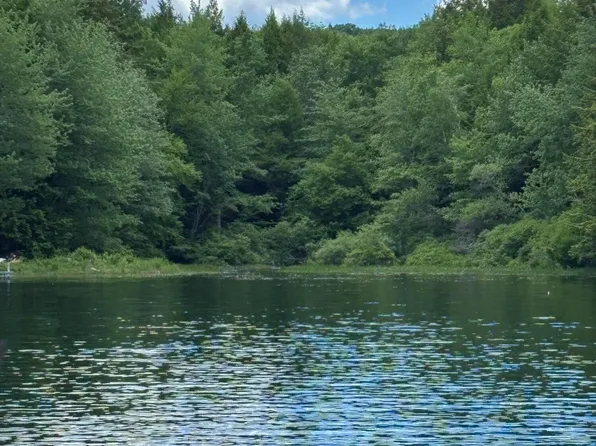 00 Brown Road, Liberty, ME 04949