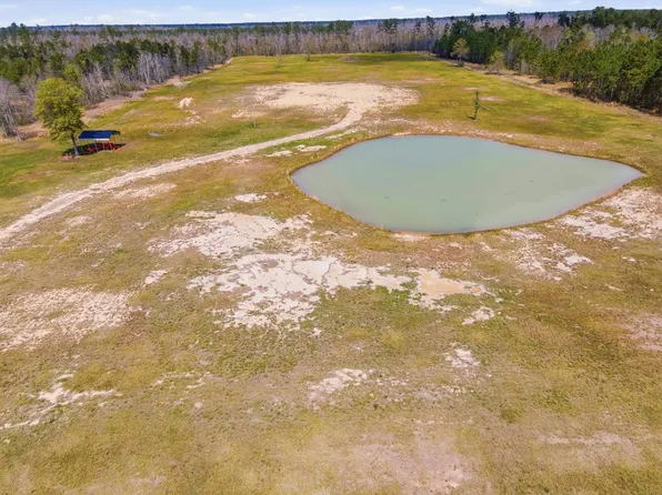 479 Newt Hodges Rd, Ragley, LA 70657