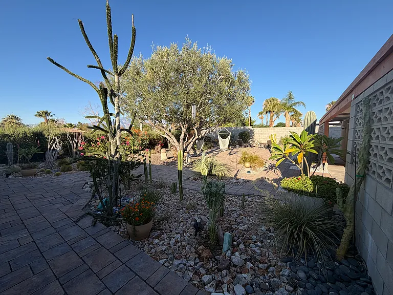 65571 Avenida Cadena — Photo 30