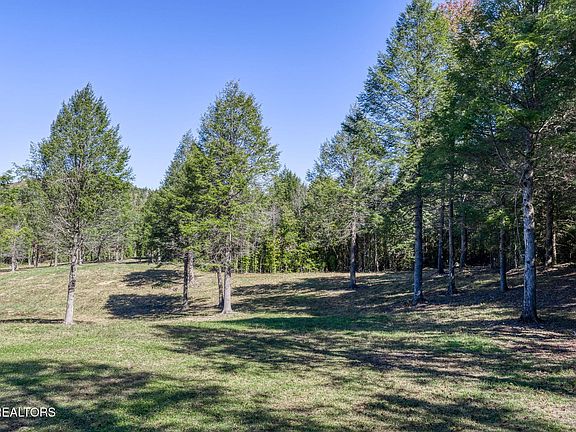 11th image of this home