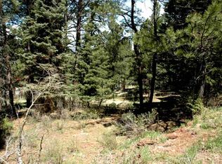 73 Mammoth Mountain Rd, Angel Fire, NM 87710