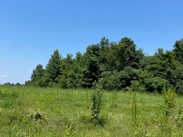 5 Bethlehem Rd, Batesville, MS 38606