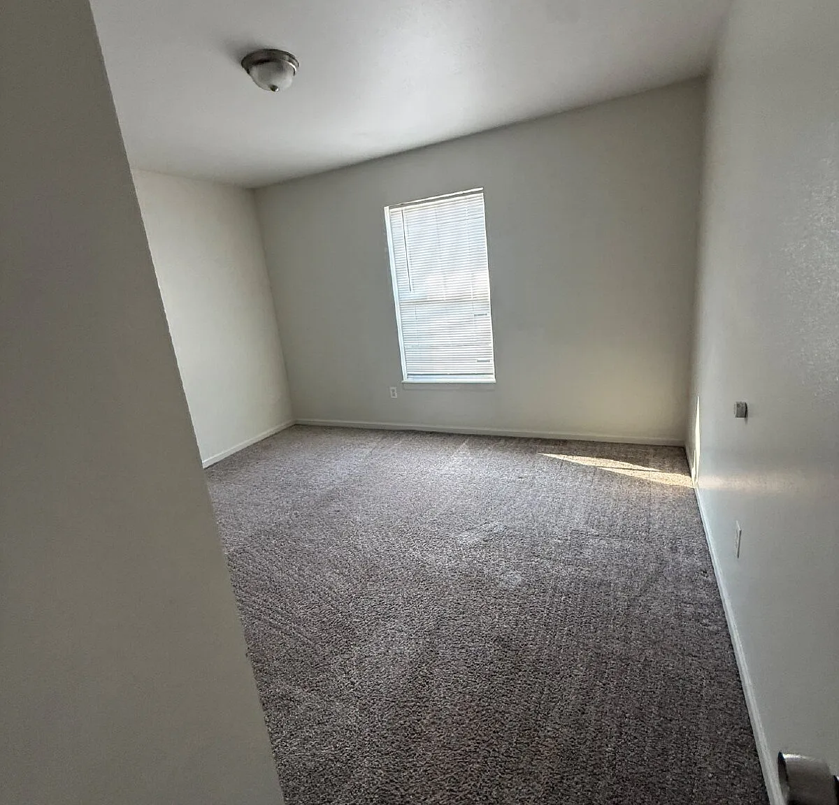 2 bed, 1.0 bath, $895 — Photo 4