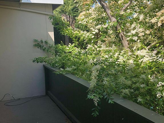 4th image of 2727 Midtown Ct APT 35