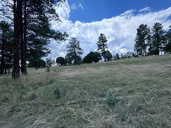 3rd image of 1 Paradise Valley Ct