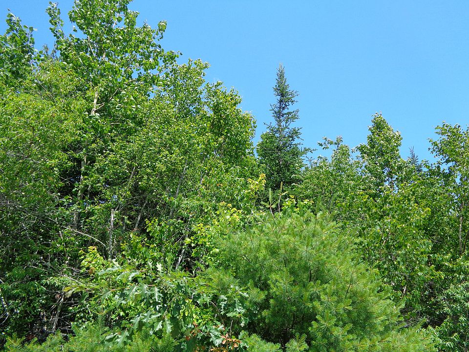 1st image of Lot 10 Bailey Mountain Road