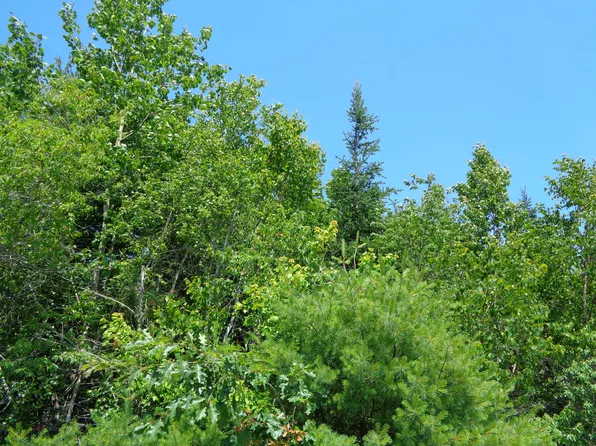 Lot 10 Bailey Mountain Road, Franklin, ME 04634