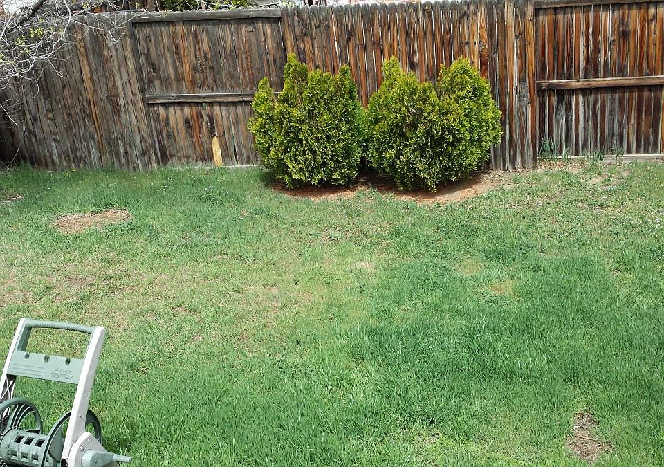 Private Fenced in Yard- Not Shared