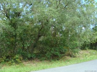 2694 S Bolton Ave, Homosassa, FL 34448