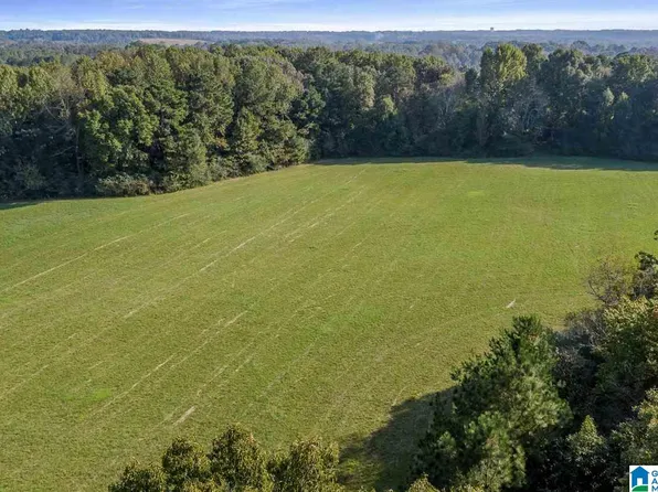 2075 County Road 1371 #0, Vinemont, AL 35179