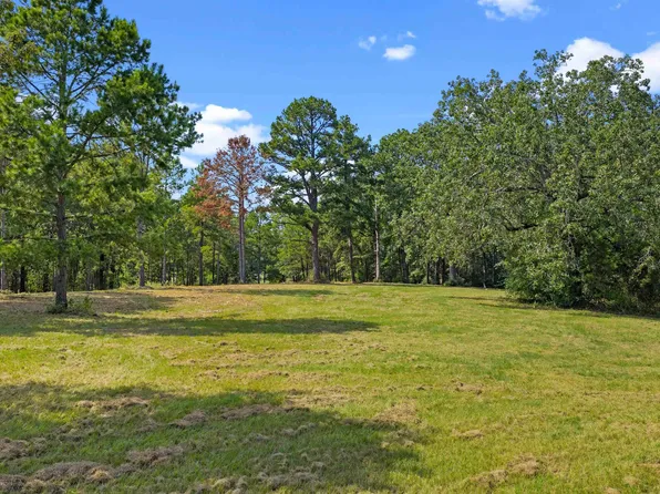 LOT 29 Frances Ln, Diana, TX 75640