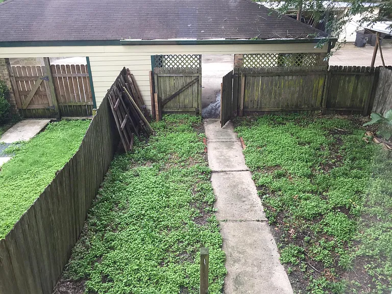 Backyard
