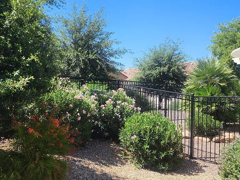 26195 W Via Del Sol Dr — Photo 22