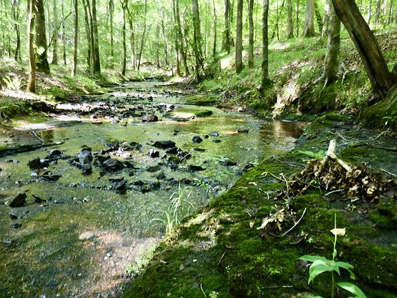 2nd image of 0 Allens Creek Rd