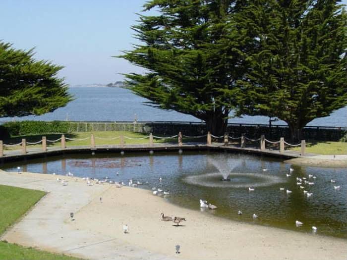 View of the Lagoon & Bay