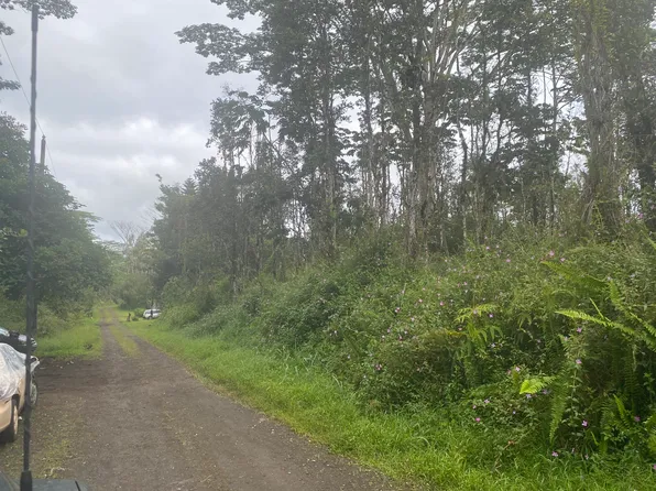 Ginger Rd Lot 273, Pahoa, HI 96778