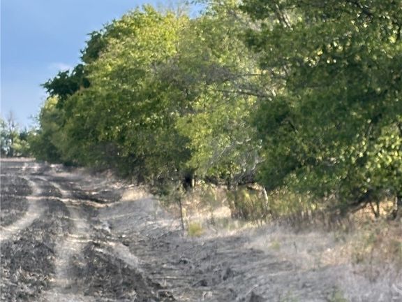 2nd image of County Road 451