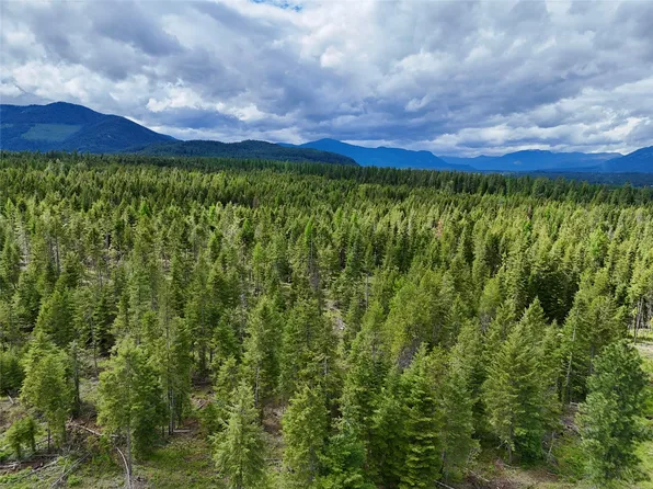 Nhn S Squire Ln, Trout Creek, MT 59874