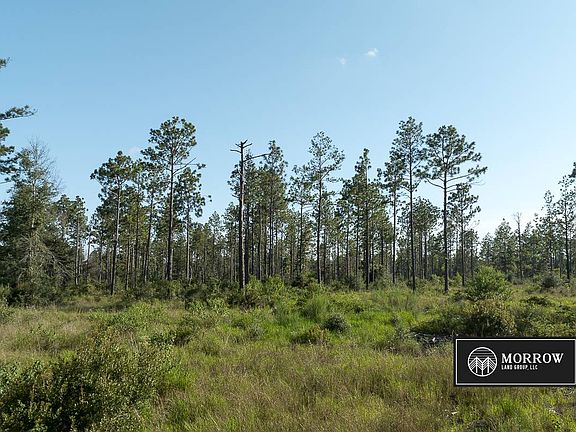 4th image of Alston Cemetery Rd