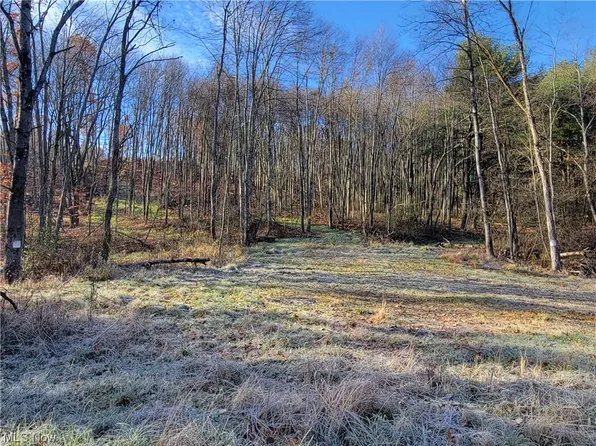 Applegate Rd, Lisbon, OH 44432