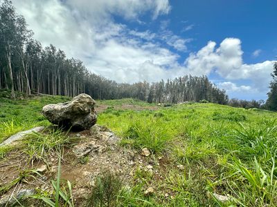 Cane Haul Rd, Honokaa, HI, 96727