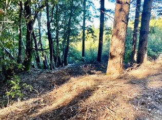 54 Forest Rd, Whitethorn, CA 95589