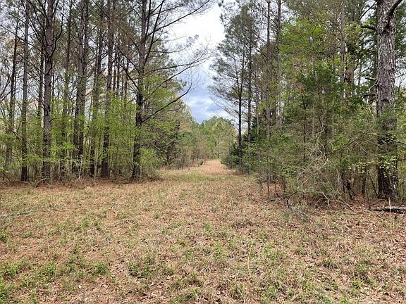 <p>Internal Road</p>