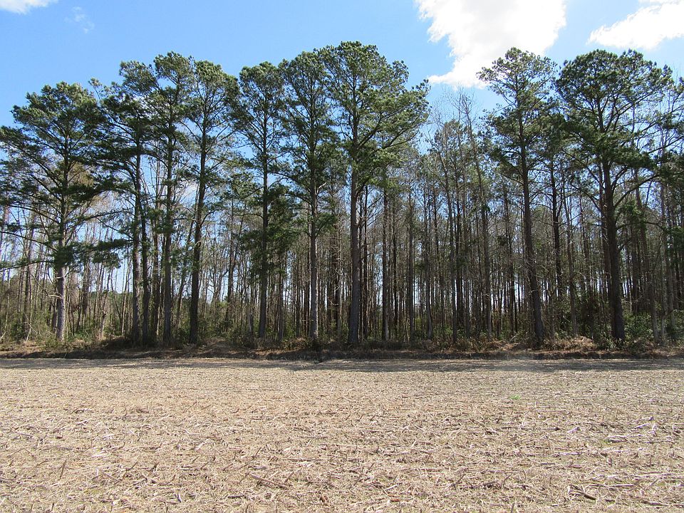 1st image of 250 Alligator Loop Road LOT Tract 1-A