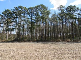 250 Alligator Loop Rd LOT 1, Merritt, NC 28556