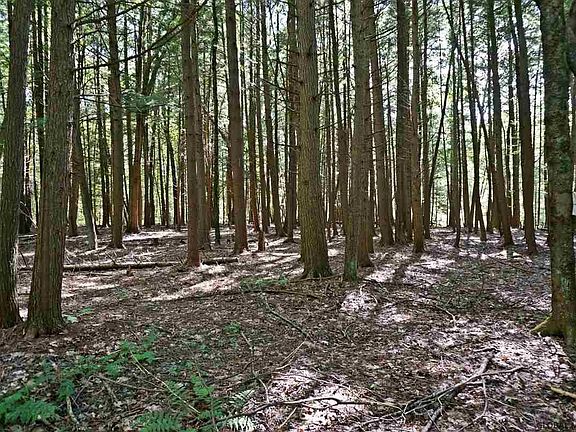 4th image of 0 BATTENKILL