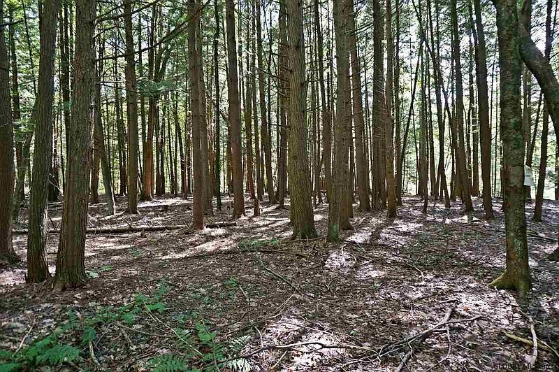 4th image of 0 BATTENKILL