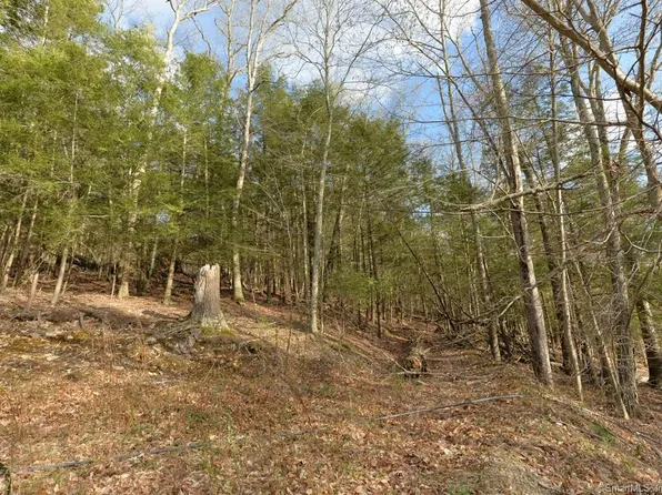 Lot 25A Upper Fish Rock Road, Southbury, CT 06488