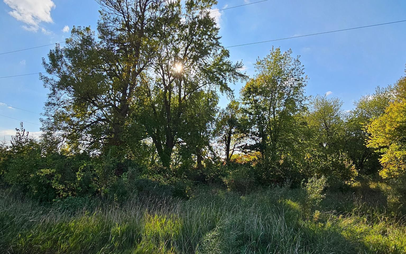 21810 Gonvick Ave, Morristown, MN 55052 MLS 6454088 Zillow