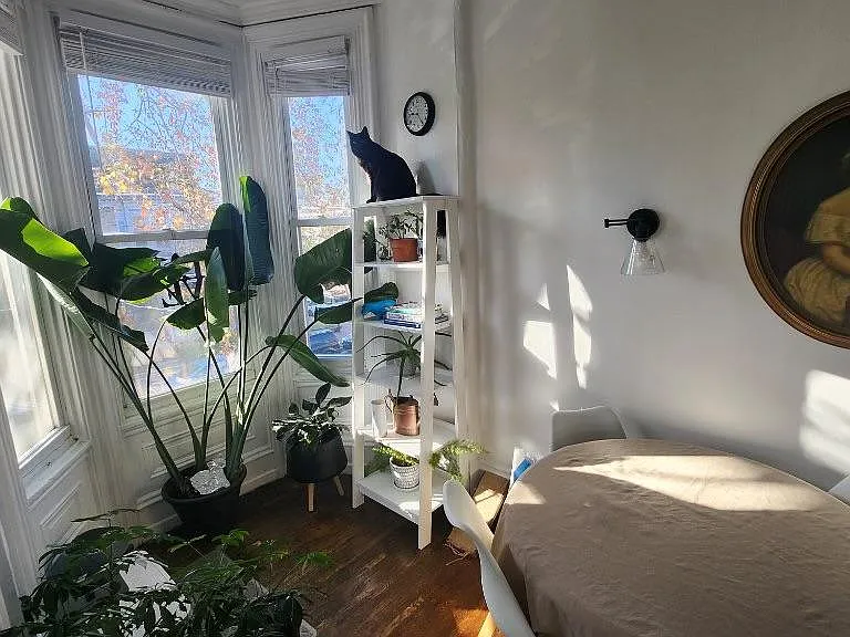 3421 Race St #2 — Photo 5
