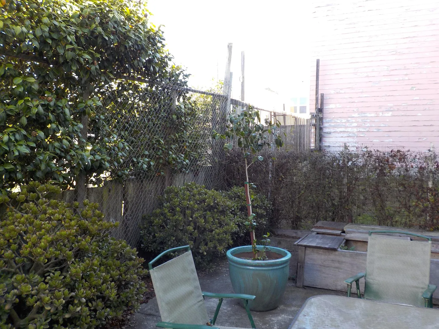 1136 Quintara St — Photo 3