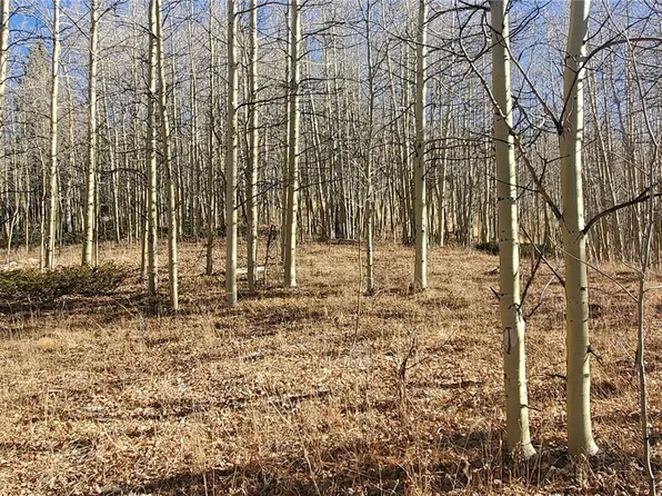 Lot's 6414 & 6415 Bronfman Road LOT 6414 & 6415, Fort Garland, CO 81133