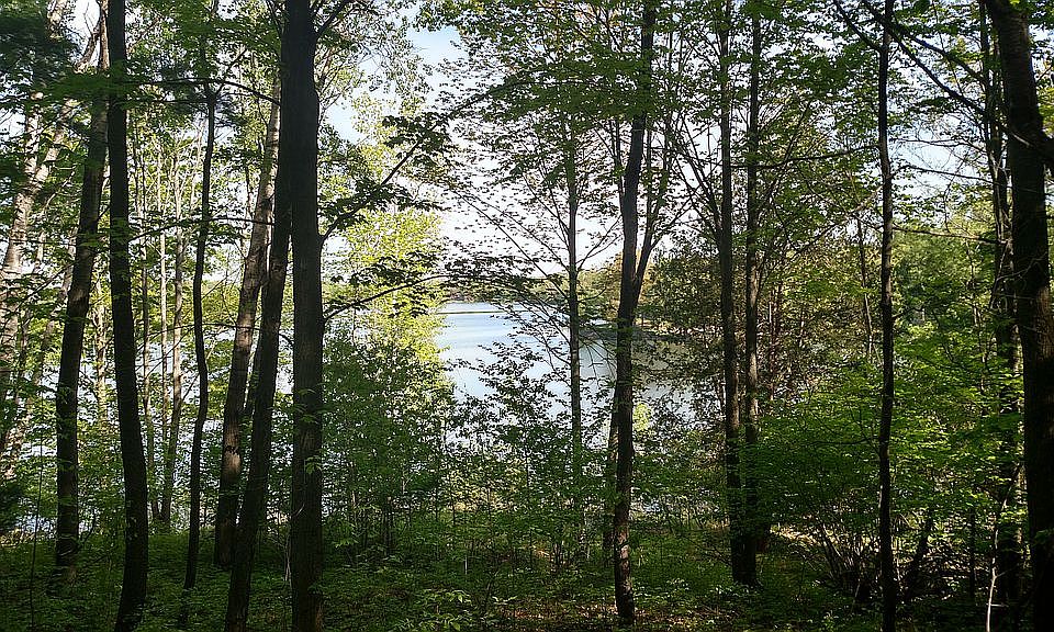 Nice wooded walkout lot