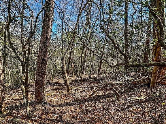 4th image of 0 Ts Jarrard Rd #4