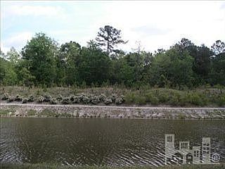 3rd image of 203 Sycamore Forest Dr