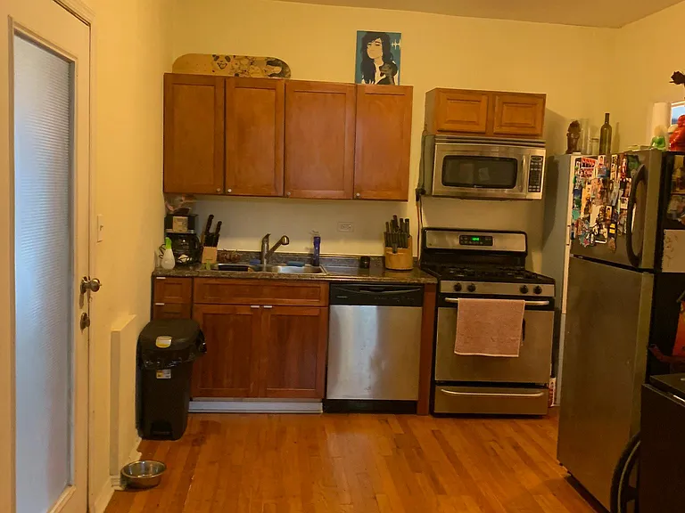 1016 W Cullerton St #1RB — Photo 2